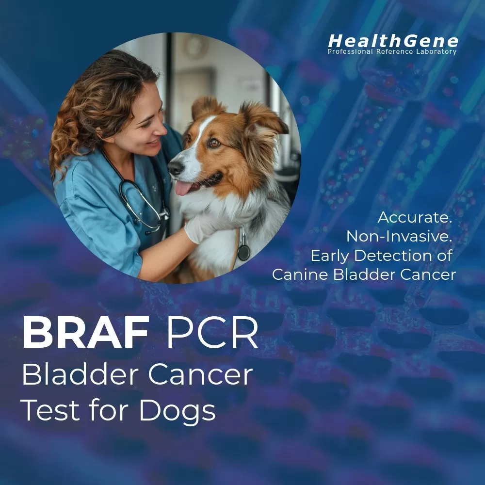 BRAF PCR Test for Canine Bladder Cancer