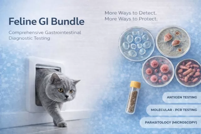 Fecal Gastrointestinal Bundle for Cats